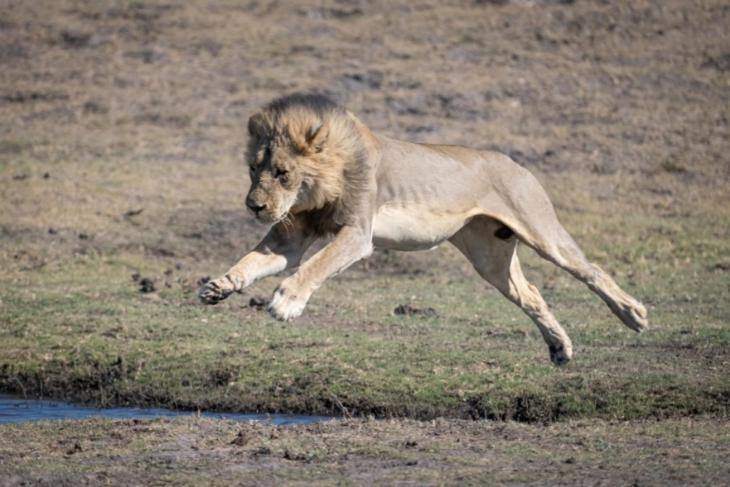 Отель Jackalberry Chobe Касане Экстерьер фото